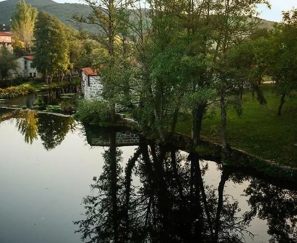 Atico Lobarinas